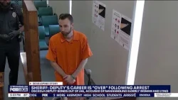 Florida deputy accused of battering woman he arrested for alleged DUI, officials says