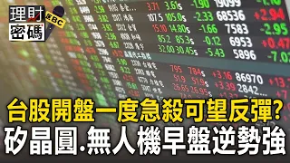 台股開盤一度急殺「可望反彈」？矽晶圓、無人機早盤逆勢強【理財密碼】
