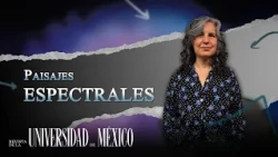 Spectral Landscapes | University Magazine