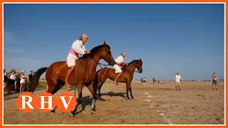 Horses and Riders Return to Pinedo with the Corregudes de Joies