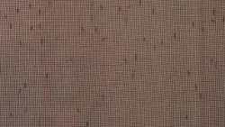 Будьте готовы, комары еще некоторое время будут досаждать жителям Юты, распространяя возможные бо...