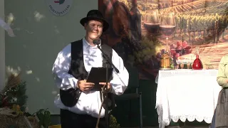 Szüreti felvonulás Szentivánon