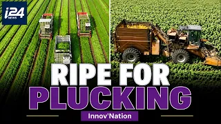 Israeli robots target $10B fruit harvesting market