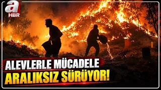 Forest Fires in Antalya and Adana | A Haber