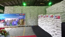 Tercera entrega de urea y trigo fortalece producción agrícola en Nicaragua