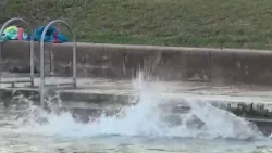 Thousands take the Polar Bear Plunge at Barton Springs Pool | FOX 7 Austin