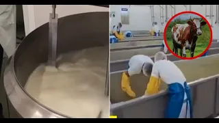 Nicaragua Produces 216 Million Gallons of Milk in the First Half of 2026