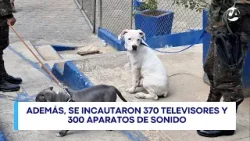 Incautan máscaras antigás y localizan a 10 animales en requisa en Preventivo