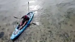 One kayaker’s mission to map thousands of miles of Puget Sound shoreline One kayaker’s mission to map thousands of miles of Puget Sound shoreline
