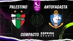 Compacto Fecha 3 // Palestino VS Antofagasta // Campeonato Femenino SQM 2024