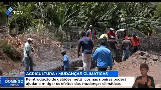 Reintroducing gabions in streams could help mitigate the effects of climate change