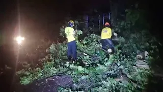 Rains cause trees to fall and damage