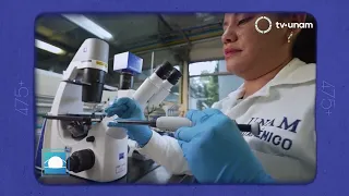 475+ UNAM: Triclosan Removal. Capsule 25