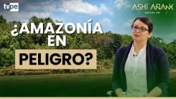 Who protects indigenous territories?