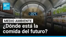 Olivos guardados en Svalbard: el futuro de tu comida está en una bóveda a -20ºC • FRANCE 24 Olivos guardados en Svalbard: el futuro de tu comida está en una bóveda a -20ºC • FRANCE 24