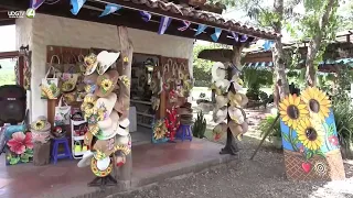 The Sunflower Walk was born during the pandemic and is now a tourist attraction in Honduras