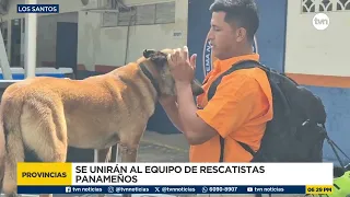 Blake, the Sinaproc canine, will travel to Venezuela to support rescue efforts
