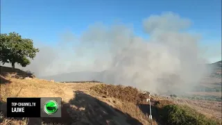 Top Channel/ Flakët rrezikuan Apoloninë, arrestohen piromanët që rrezikuan parkun kombëtar
