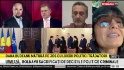 Dana Budeanu îl desființează pe Luca Niculescu: „Ce experiență are Grinch?”