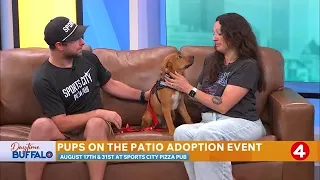 Daytime Buffalo: Pups on the Patio adoption event | Sponsored by Earthwise Pet