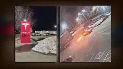 Despite being labeled a 'domestic terrorist,' Tesla vandalism suspect granted travel requests Despite being labeled a 'domestic terrorist,' Tesla vandalism suspect granted travel requests