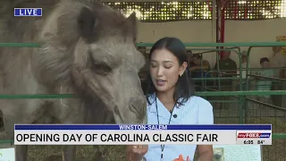 Meet capybaras, kangaroos and more at the Carolina Classic Fair in Winston-Salem