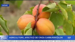 Fermierii, afectați de majorarea prețului la motorină: „Ne temem de o criză”