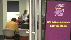 A spooky night at the Buffalo Museum of Science