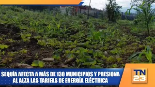 Drought affects over 130 municipalities and puts upward pressure on electricity rates