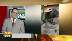 Após a morte do tutor, cachorro 'faz vigília' na porta da UPA em Cuiabá Após a morte do tutor, cachorro 'faz vigília' na porta da UPA em Cuiabá