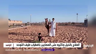 الفروسية رياضة لعلاج أطفال التوحد