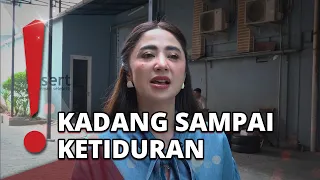 Son Returns Home, Dewi Perssik Makes the Most of Their Time Together