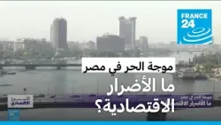 موجة الحر في مصر.. ما الأضرار الاقتصادية؟ • فرانس 24