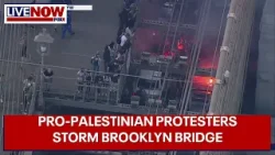 Pro-Palestinian protesters block traffic on Brooklyn Bridge | LiveNOW from FOX