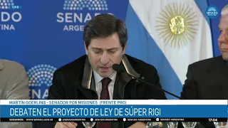 SENADOR MARTÍN GOERLING - PLENARIO DE PRESUPUESTO, ECONOMÍA Y LEG. GRAL. 19-08-26