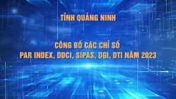 Quảng Ninh:  Công bố kết quả các Chỉ số PAR INDEX, SIPAS, DDCI, DGI, DTI năm 2023