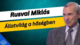 Pirkadat: Rusvai Miklós - Állatvilág a hőségben