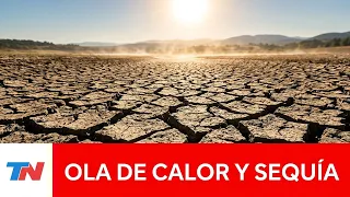 TEMPERATURAS: nueva ola de calor en varios países de Europa, afectada por una sequía generalizada