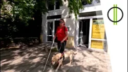 Egy vakvezető kutya munkanapja