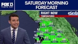 Погода в Тампе | Прогноз на субботнее утро