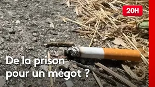 Littering cigarette butts: Should penalties be toughened?