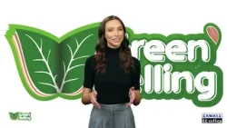 P97   GREENTELLING   30'   18 MAR 26