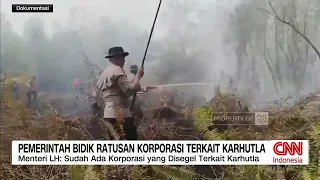 Pemerintah Bidik Ratusan Korporasi Terkait Karhutla