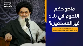 ماهو حكم اللحوم في بلاد غير المسلمين؟المرجع الديني الاعلى اية الله العظمى السيدصادق الحسيني الشيرازي