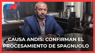 ANDIS CASE: The courts confirmed the indictment of former head Diego Spagnuolo