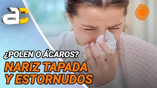 Respiratory allergies: what causes them and their symptoms