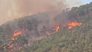 DIGJET MALLAKASTRA!Flakët jashtë kontrollit,shkrumbohen pishat.Vijon beteja për shuarjen e vatrës