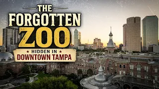 Tampa’s Secret Zoo Nobody Remembers