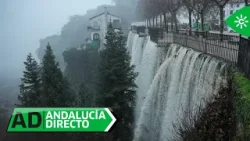Andalucía Directo | Miércoles 4 de febrero