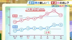 【1月31日(土)】大雪は落ち着くも落雪・路面凍結に注意！　厳しい寒さ続く　来週半ばは春の兆し？【近畿の天気】#天気 #気象